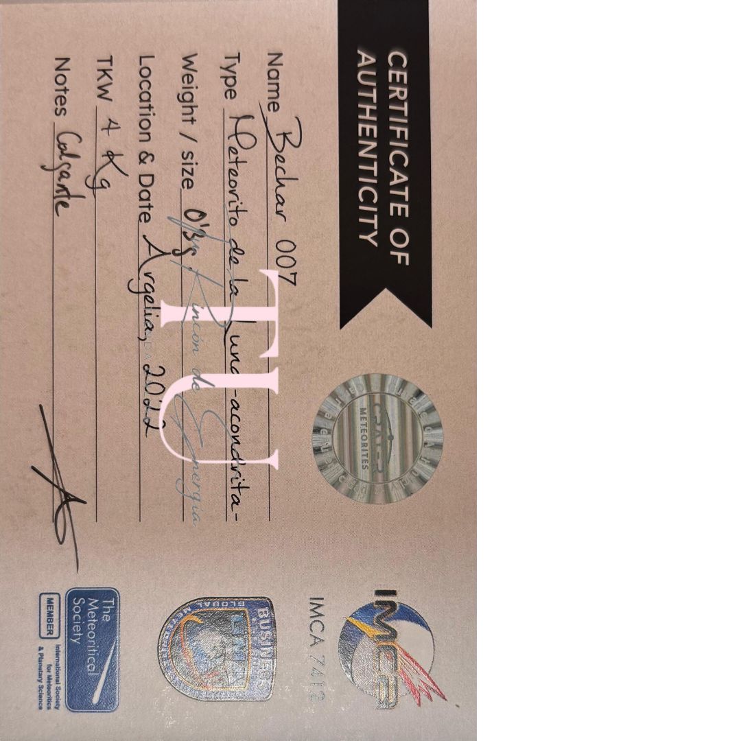 COLGANTE CON METEORITO DE LUNA