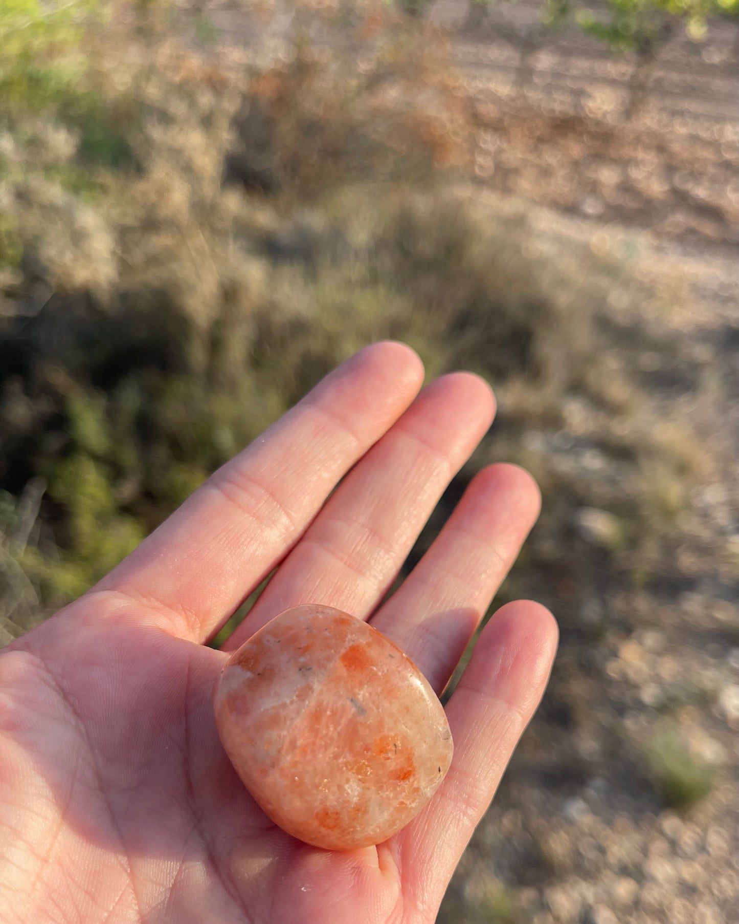 Piedra del Sol Rodado -Felicidad y Independencia
