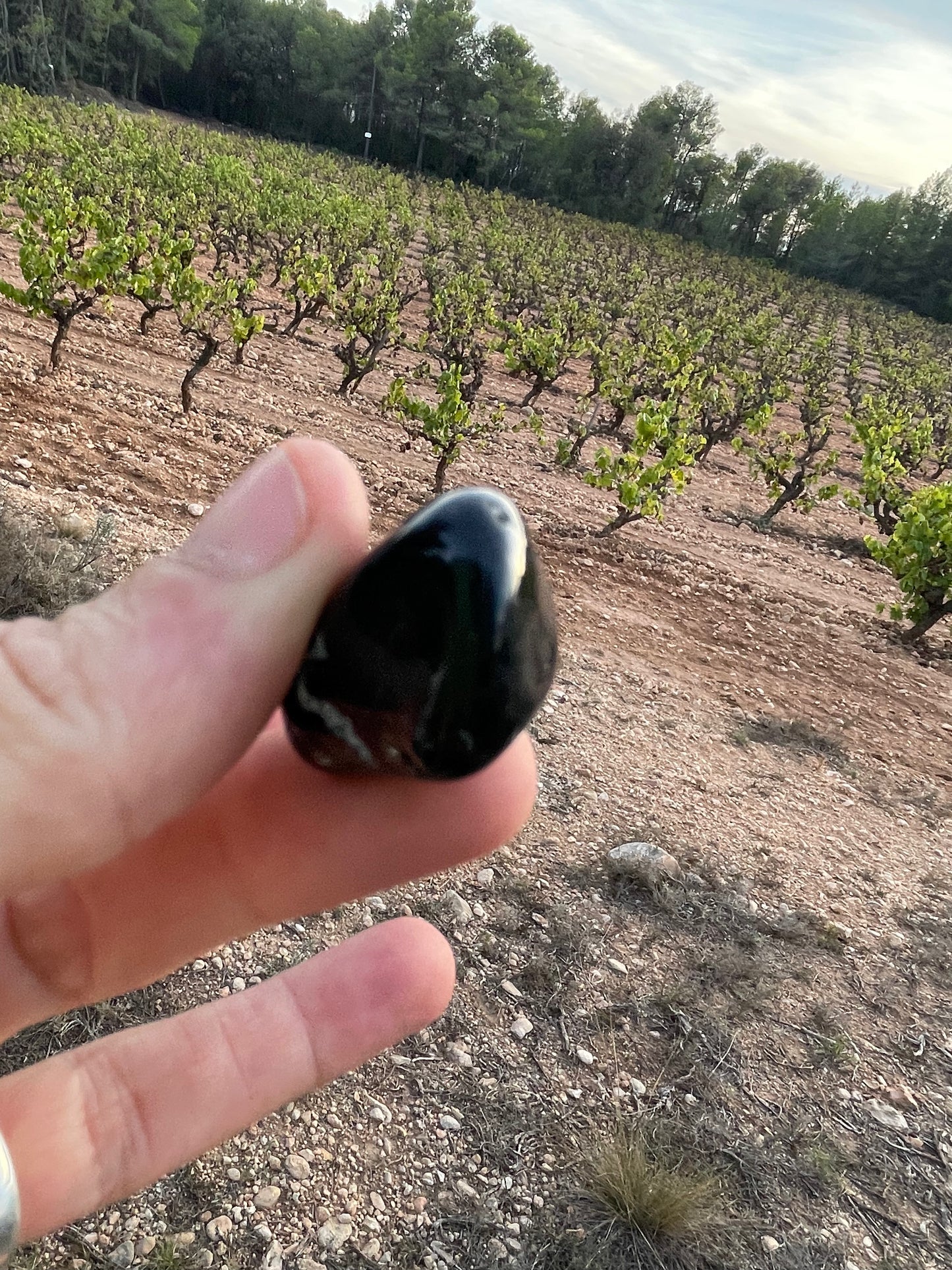 Piedra Onix Rodado -Tranquilidad y Positividad